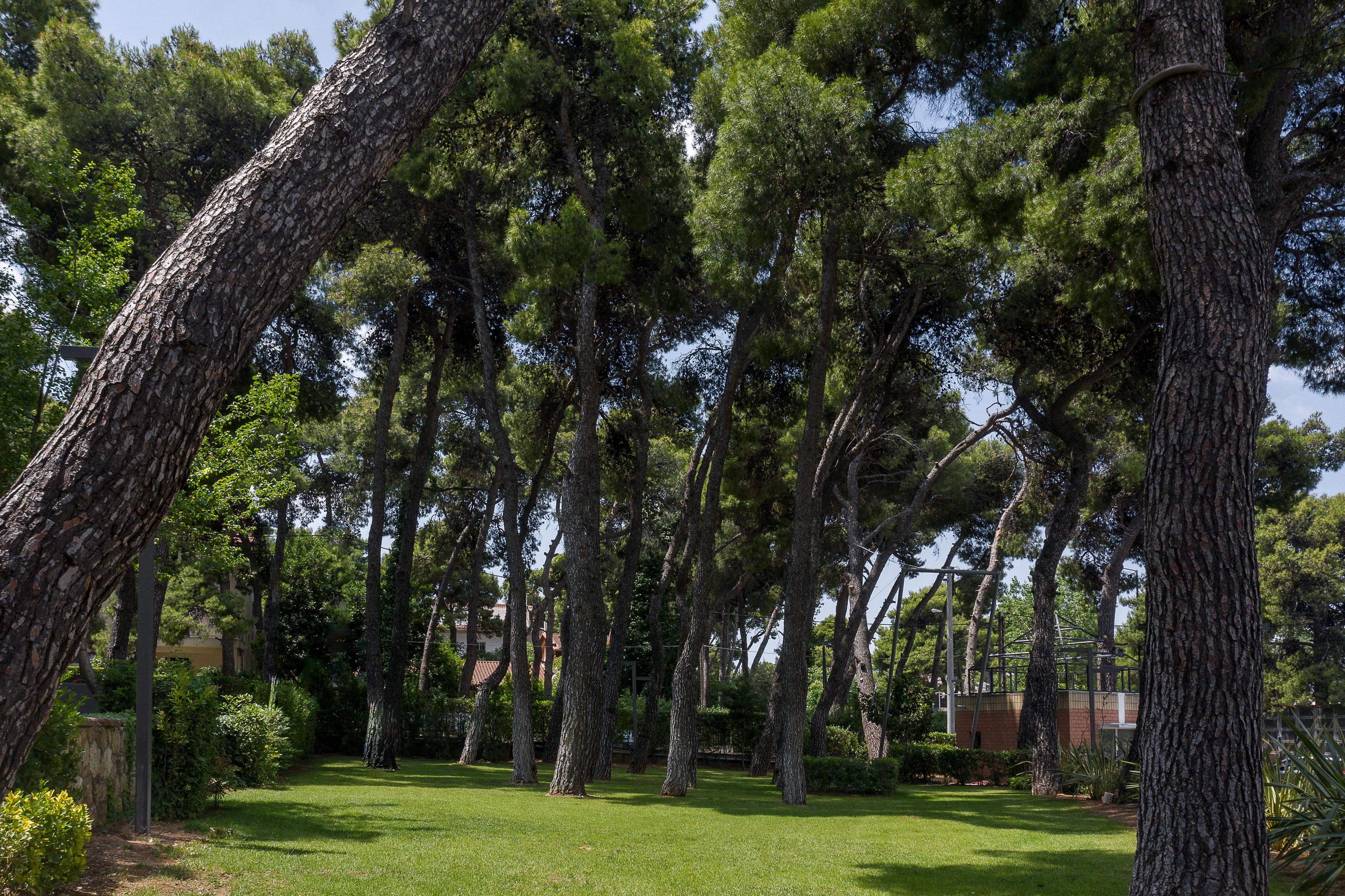 Domotel Kastri Atena Exterior foto